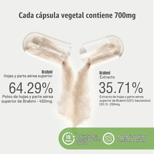 Vista 5 de Herbsforever Cápsulas Brahmi – Bacopa Monnieri – Bacoside 30% a 35% – Suplemento para aliviar el estrés – 60 cápsulas vegetales – 800 mg cada uno