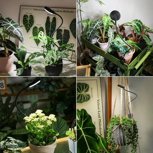 Vista 6 de Luz de cultivo con clip de 12 W para plantas de interior, luz de planta con clip de maceta con cuello de cisne flexible, luz de crecimiento pequeño