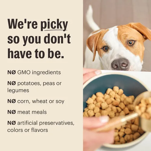 Vista 4 de The Honest Kitchen Alimento seco de grado humano para perros, alimentos secos de grano entero para perros de raza pequeña, pollo, 1 libra