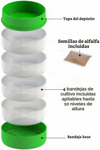 Vista 3 de Deluxe 4 bandejas para el cultivo en el hogar de brotes de semillas de VICTORIO VKP1200