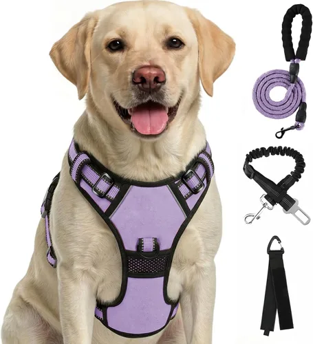 Vista 12 de FURRYFECTION Arnés a cuadros para perros pequeños, chaleco reflectante ajustable sin tirones para mascotas con clip frontal, correa, asa de fácil