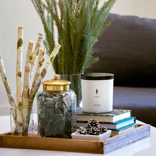 Vista 5 de Archipelago Botanicals Aspen Luxe - Vela Aspen Bark, aroma a ámbar y almizcle, elegante vela en tarro de vidrio blanco, cera de coco, mechas dobles