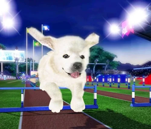 Vista 3 de Petz Sports - Nintendo Wii