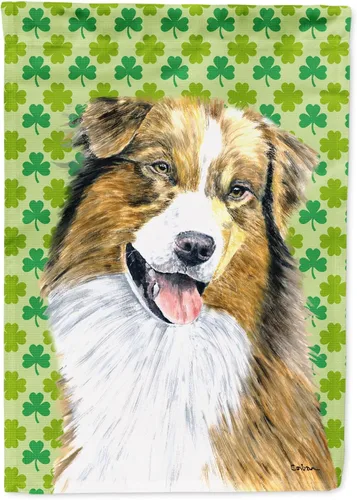 Vista 296 de Caroline's Treasures SS4442GF Affenpinscher Bandera de jardín con retrato de trébol del día de San Patricio para buzón, bandera decorativa