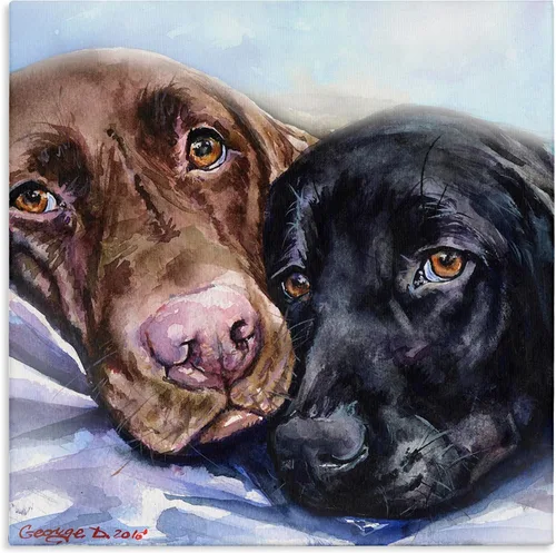 Vista 15 de Stupell Industries Lienzo de retrato abstracto de perro por Irena Orlov Stupell Industries 17 x 17 Inches, Easy to Hang and Sturdy, Made in USA