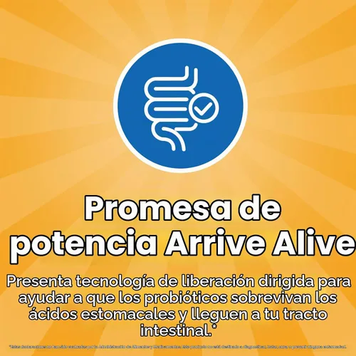 Vista 5 de NewRhythm Probióticos 50 mil millones de UFC, 20 cepas, 60 cápsulas vegetales, tecnología de liberación dirigida, resistente al ácido estomacal, sin