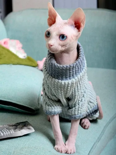 Vista 4 de Ropa para gatos sin pelo, suéter de algodón, transpirable, otoño e invierno, ropa cálida para gato, chaleco de cuello alto, ropa para Sphynx Azul