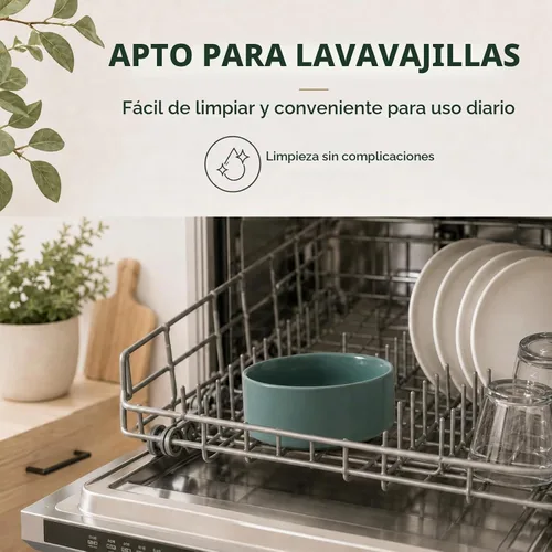 Vista 6 de Havniva Juego de 2 cuencos para gatos de cerámica de 5.1 pulgadas, cuenco