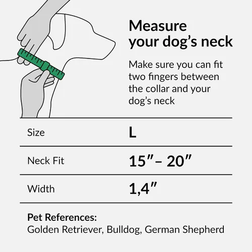 Vista 2 de CollarDirect Martingale - Collar de nailon resistente para perros pequeños, medianos y grandes [nailon, estampado, aguamarina, L, 15-20 pulgadas)
