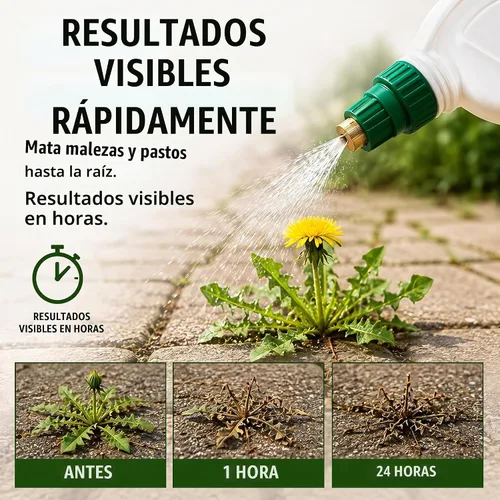Vista 5 de Natural Armor Fórmula concentrada totalmente natural para matar malezas y hierbas. No contiene glifosato (320 onzas, 2.5 galones) Funciona