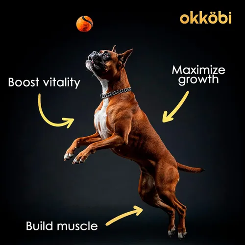 Vista 5 de Masticables 11 en 1 para Ganancia Muscular - Suplementos de Aumento de Peso para Perros con Alta Proteína y Aminoácidos - Constructor Muscular