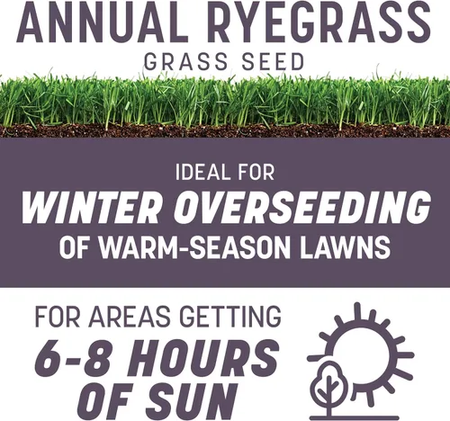 Vista 2 de Pennington Semilla anual de pasto de Ryegrass 10 lb