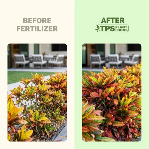 Vista 3 de Fertilizante líquido 10-10-10 para césped y jardines, 32 oz