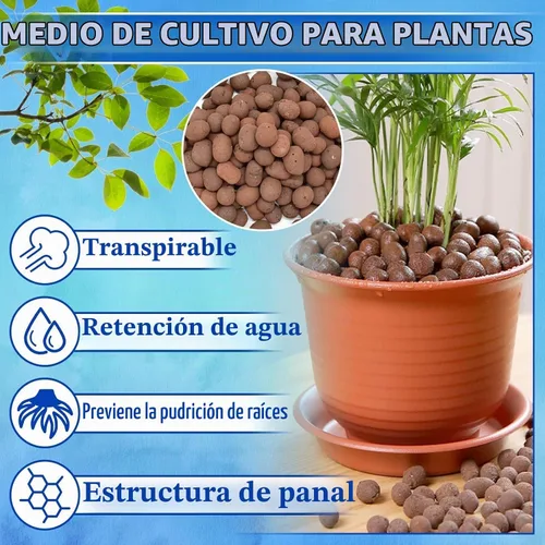 Vista 4 de ZeeDix - Guijarros de arcilla leca de 5 libras para plantas. Bolas de arcilla hidropónica orgánica Hydroton Leca Balls for Indoor Plants