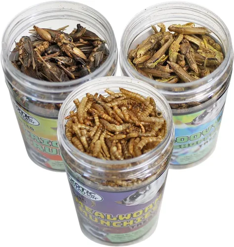 Vista 2 de Exotic Nutrition Insectos secos paquete de 3 – Grillos, saltamontes, gusanos de la harina – para planeadores de azúcar, erizos, aves silvestres