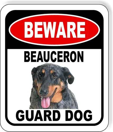 Vista 2 de BEWARE BASSETT HOUND GUARD DOG - Letrero compuesto de aluminio para exteriores, 8.5 x 10 pulgadas CUIDADO BASSETT HOUND GUARD PERRO