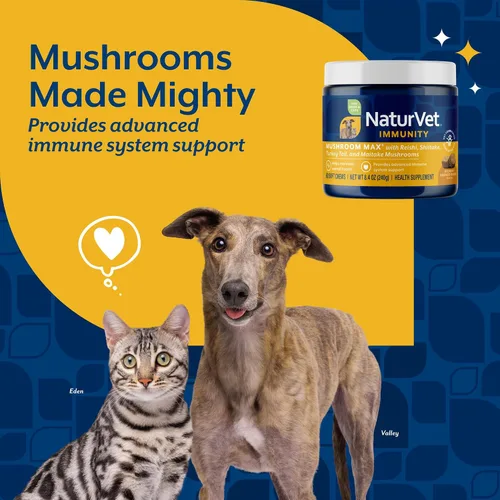 Vista 3 de NaturVet Mushroom Max - Suplemento avanzado para perros de apoyo inmunológico – Ayuda a fortalecer la inmunidad, la salud general de los perros