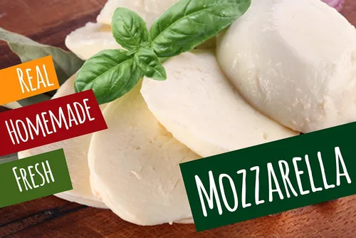 Vista 6 de Vantexi Enzima de Queso Microbiano Meito Queso Casero Hacer 3 x 0.04 oz. (para 78 galones/300L de leche)