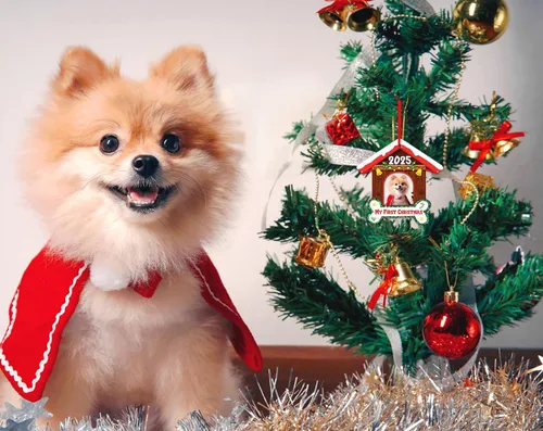Vista 7 de FLYAB Adornos de la primera Navidad de Perros 2025-3.5 x 3.3 pulgadas, marco de fotos de perro acrílico, adorno personalizado para cachorro, adorno