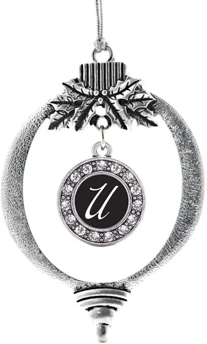 Vista 484 de Inspired Silver - Adorno de cromosoma 21 con dije de círculo de plata con joyas de circonita cúbica