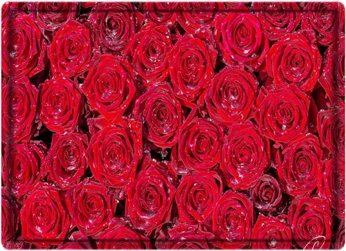 Vista 2 de LYFANS Alfombras de baño de espuma de esponja absorbente suave para baño y cocina (30 x 18 pulgadas), tapete de franela antideslizante brillante