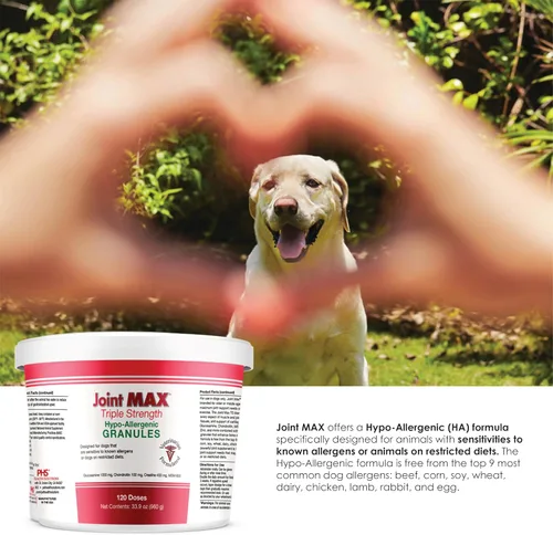 Vista 4 de Gránulos de triple fuerza HA para perros, glucosamina, condroitina, creatina, MSM y antioxidantes, suplemento de apoyo para cadera y articulaciones