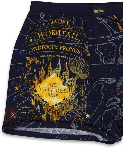 Vista 6 de Harry Potter Hogwarts Houses - Calzoncillos tipo bóxer para hombre