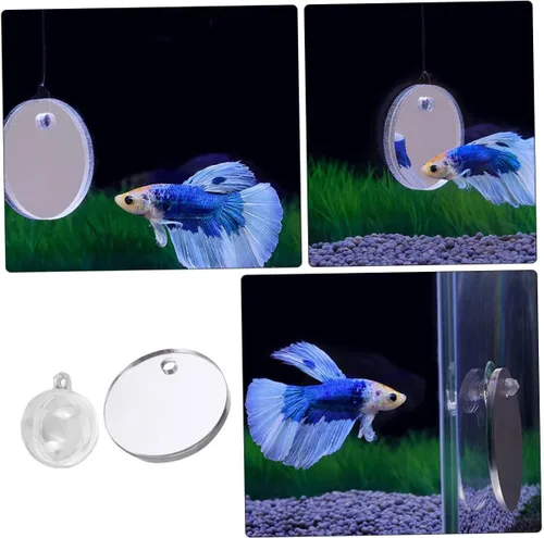 Vista 8 de Yardwe 1 juego de espejo de entrenamiento Betta Espejo de tanque de peces Betta Espejo de tanque Betta juguete decoraciones de pecera Betta Fish Toy