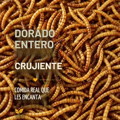Vista 2 de RANZ Gusanos secos de harina de 2 libras para pollos y aves silvestres