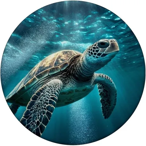 Vista 3 de Sea Turtle Beach Turtles Design PC PopSockets PopGrip intercambiable