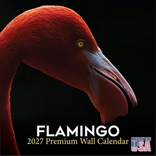 Vista 338 de Calendario de grises africanos 2025 2026 – Planificador mensual de pared de aves africanas – 12 x 18 pulgadas (abierto), calendario de pared