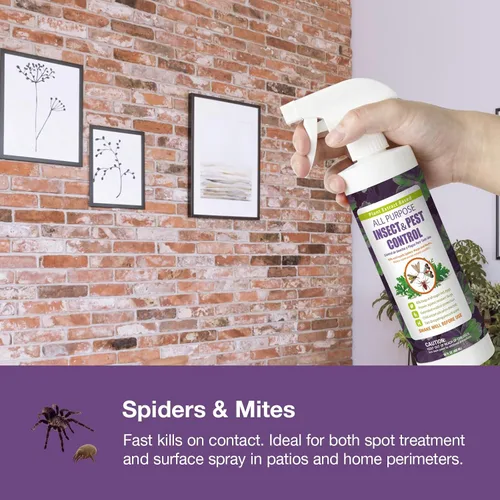 Vista 7 de ¿Control de insectos todo propósito para el hogar?, 16 onzas