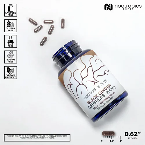 Vista 3 de Nootropics Depot Cápsulas de extracto de jengibre negro 10% 5,7-dimetoxiflavona 60