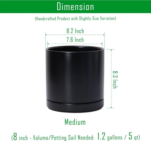 Vista 143 de D'vine Dev Paquete de 2 macetas de cerámica con platillos, color negro, 6.5