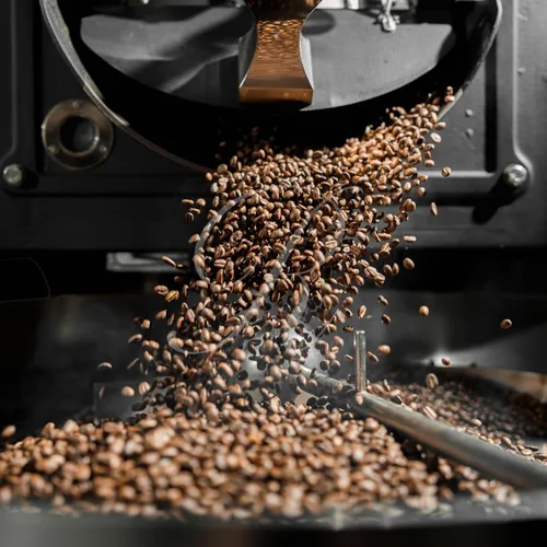 Vista 5 de Geisha Panameña - Hacienda La Esmeralda - 1 lb (16 oz/454 g) - Asado a pedido