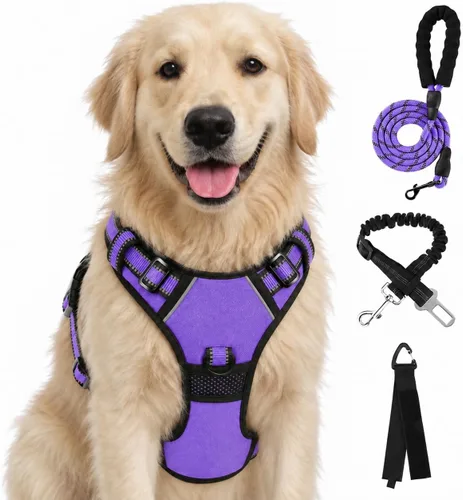 Vista 74 de FURRYFECTION - Arnés para perro a cuadros con correa y cinturón de Rosa