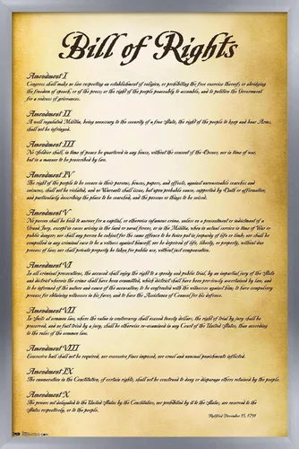 Vista 11 de Trends International The United States of America - Póster de pared de Carta de Derechos, 14.725 x 22.375 pulgadas, versión enmarcada de madera