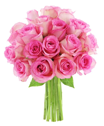 Vista 7 de KaBloom - Rosas arcoíris (media docena)- Flores frescas para cumpleaños, San Valentín y Día de la Madre