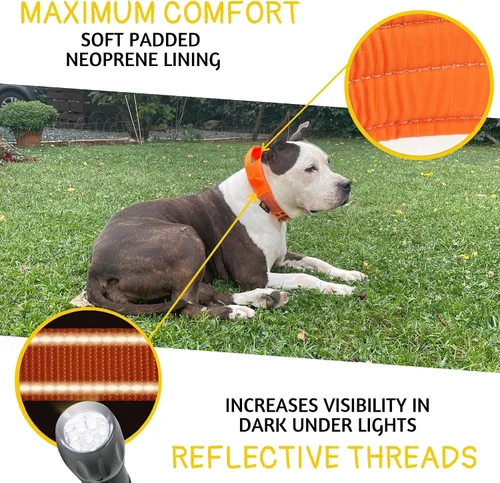 Vista 3 de ADITYNA Collar de perro resistente para perros grandes con mango de tráfico Naranja