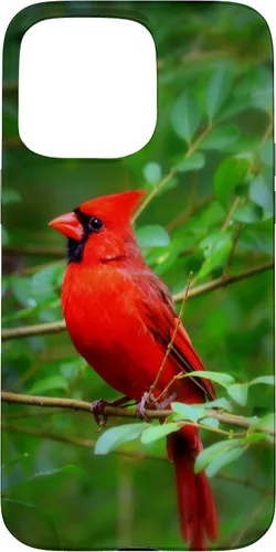 Vista 31 de Hermosa cardenal pájaro rojo escena de la naturaleza caso para iPhone 17