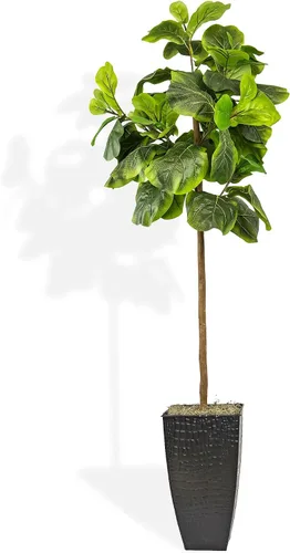 Vista 14 de LCG Florals - Árbol artificial de higuera de hoja de violín de 3.2 pies - Tronco de madera real, preensamblado, sin mantenimiento, planta artificial