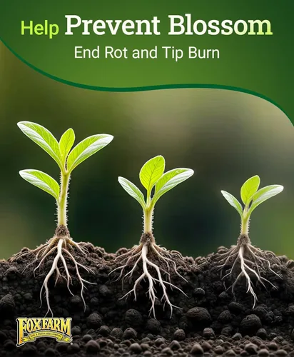 Vista 6 de FoxFarm Cultivation Nation Cal-Mag para plantas - 4-0-0, 3% de calcio, 1% de magnesio - 1 pinta