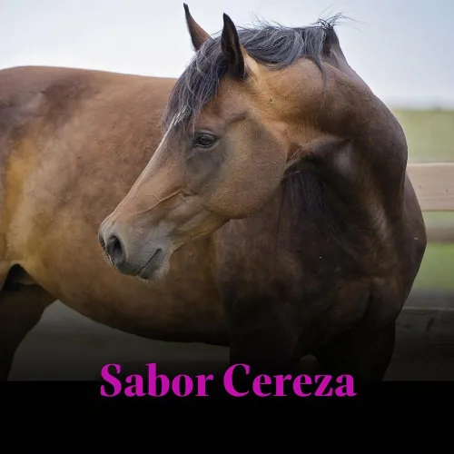 Vista 3 de SU-PER - Suplemento de Chasteberry para caballos, líquido de 1 cuarto