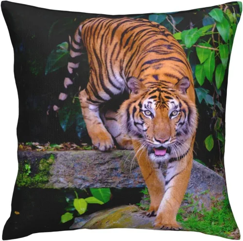 Vista 5 de VARUN Fundas de almohada de tigre feroz con estampado de animales salvajes y animales salvajes, funda de almohada decorativa para el hogar, sofá