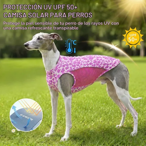 Vista 2 de Camiseta para perro con protección solar UPF 50+, paquete de 2 chalecos ligeros sin mangas para perros pequeños y niñas, tiras reflectantes, ropa