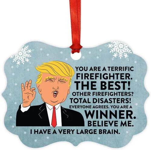Vista 80 de Andaz Press Presidente Donald Trump Fancy Frame Recuerdo Adorno de Navidad Regalo de broma, excelente contador, 1 paquete, divertidas ideas