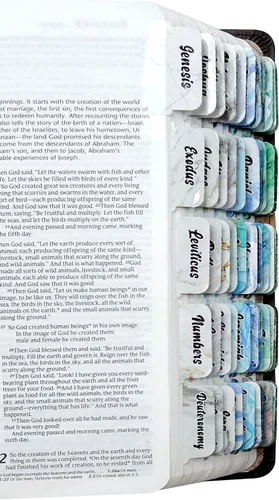 Vista 10 de Divisores de Biblia laminados con impresión grande para la Biblia Antiguo y Nuevo Testamento en blanco y negro