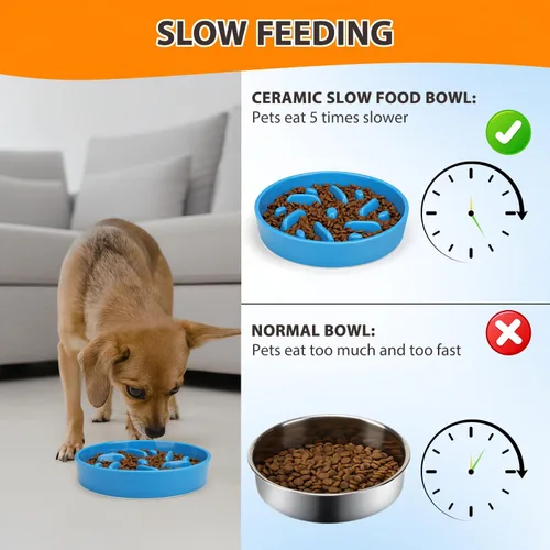 Vista 5 de Cuenco de cerámica para perros de alimentación lenta, 2 tazas de plato de Laberinto - Azul