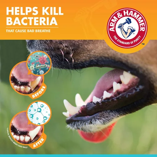 Vista 4 de Arm & Hammer Enzymatic - Kit de cuidado dental para perros, sabor a pollo, tubo de 2.5 onzas Pasta de dientes de bicarbonato de sodio, sabor a