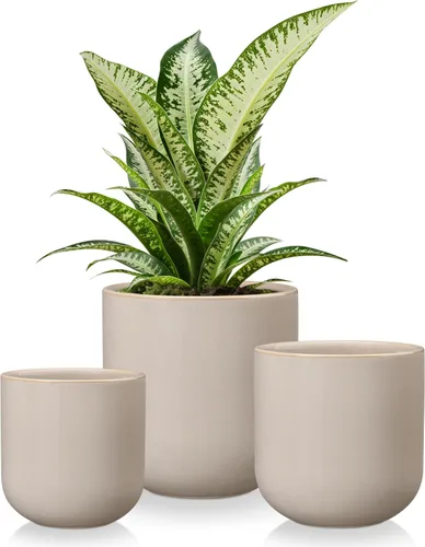 Vista 16 de vancasso Macetas de cerámica, 4+5+6 pulgadas, juego de 3, macetas con orificio de drenaje, macetas para plantas de interior, maceta moderna Blanco
